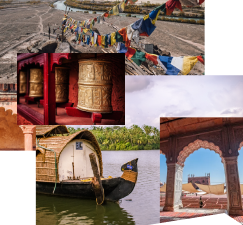 Collage of yoga and travel images